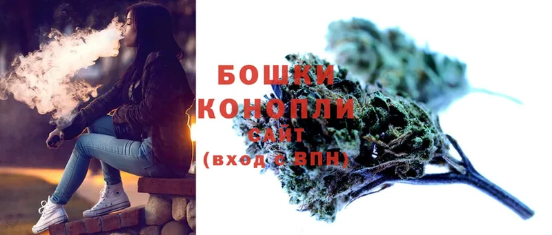 Шишки марихуана Bruce Banner  гидра вход  Камышин  купить закладку 